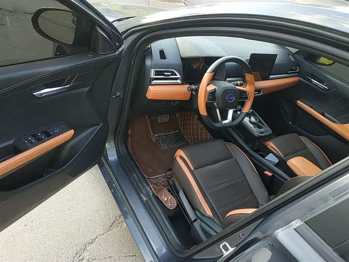 Фото 14 - BYD E2