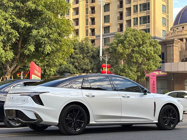 Фото 4 - Hongqi H6