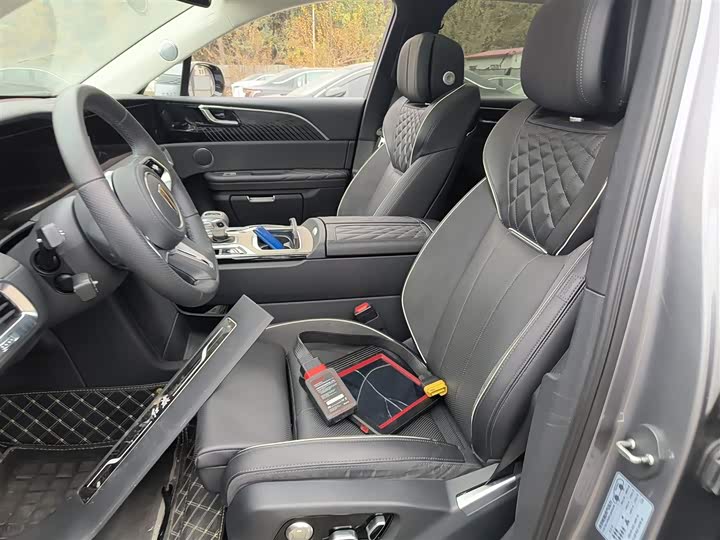 Фото 15 - Hongqi E-HS9