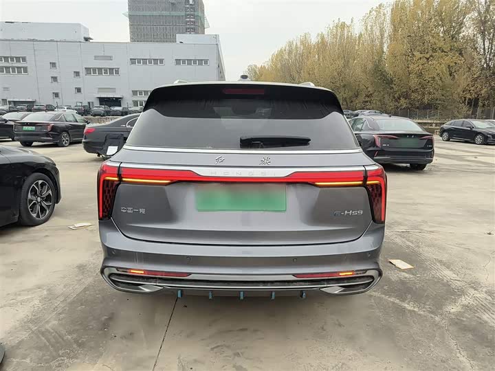 Фото 6 - Hongqi E-HS9
