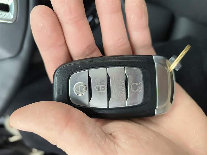 Фото 9 - Hongqi E-HS9