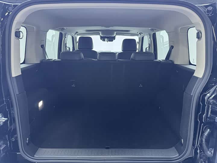 Фото 19 - Tank 300