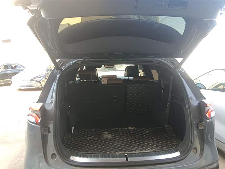 Фото 9 - BYD Tang Hybrid/EV