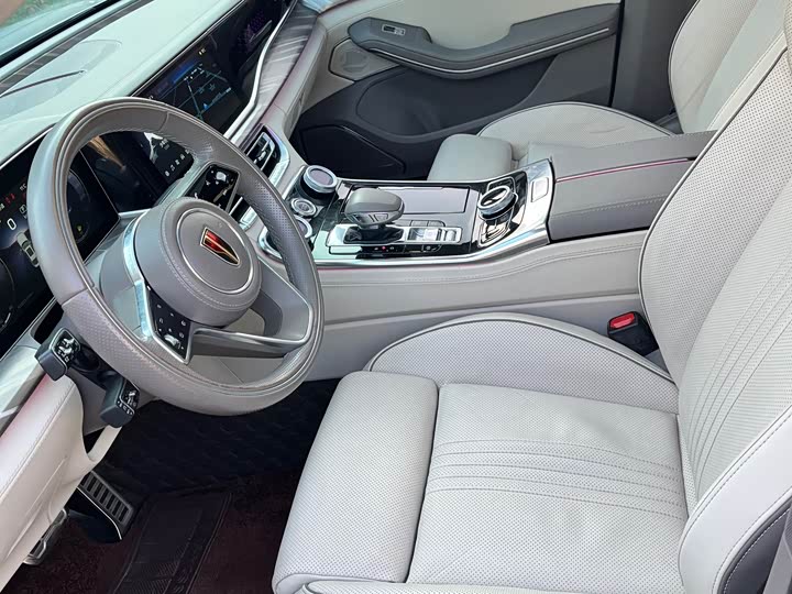 Фото 13 - Hongqi H9