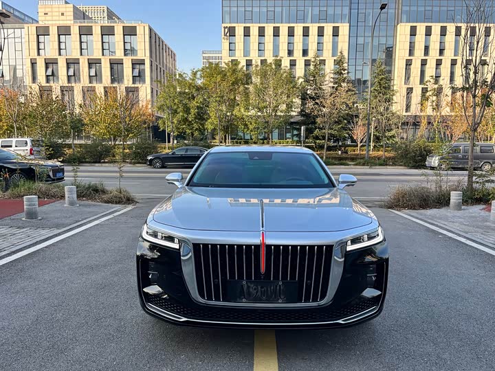 Фото 2 - Hongqi H9