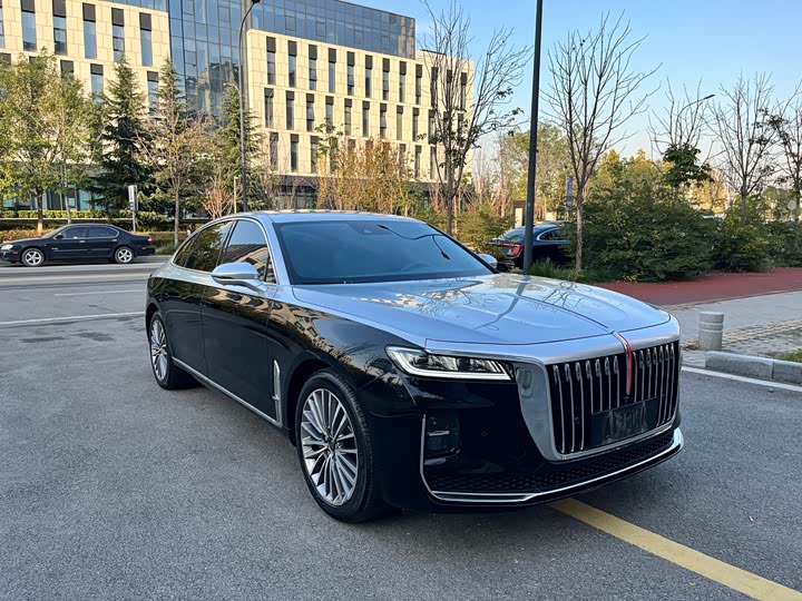 Фото 3 - Hongqi H9