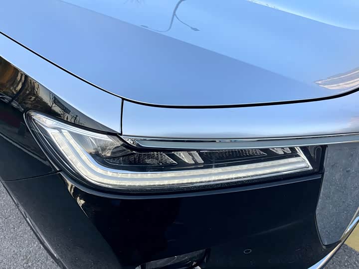 Фото 4 - Hongqi H9