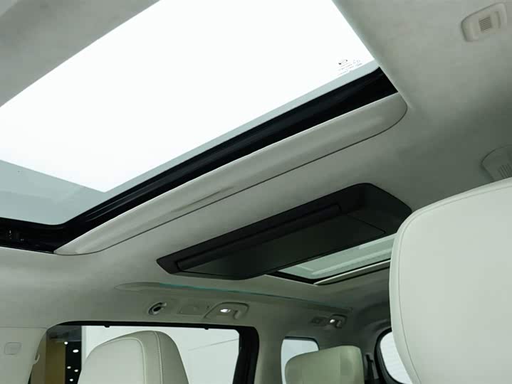 Фото 19 - GAC Trumpchi E9