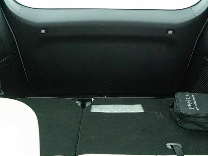 Фото 22 - GAC Trumpchi E9