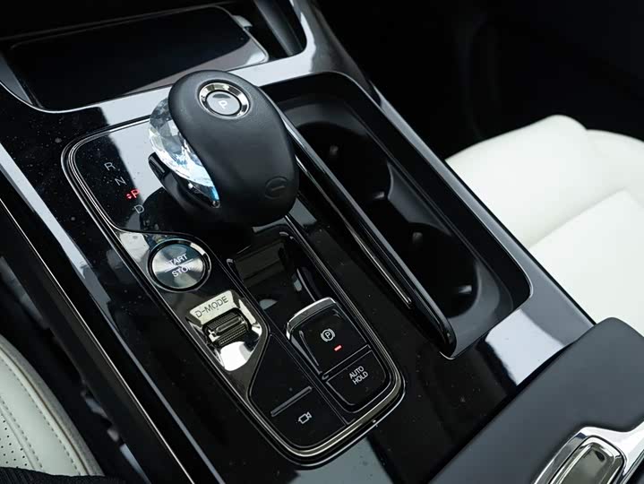 Фото 28 - GAC Trumpchi E9