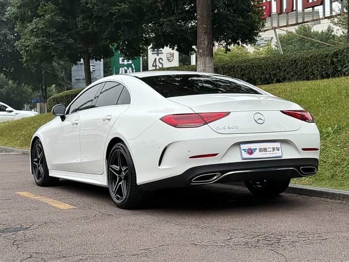 Фото 4 - Mercedes-Benz CLS-Class