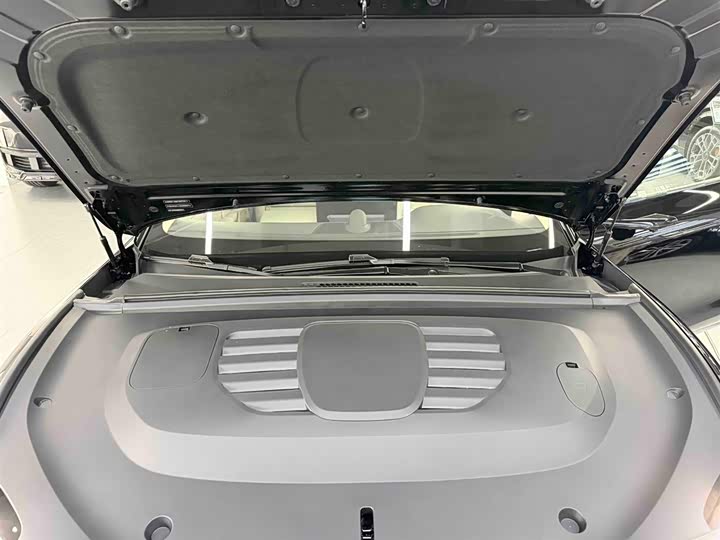 Фото 34 - Stelato S9