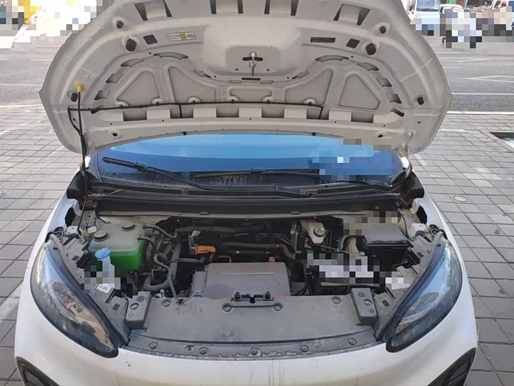 Фото 11 - BAIC Arcfox Kaola S