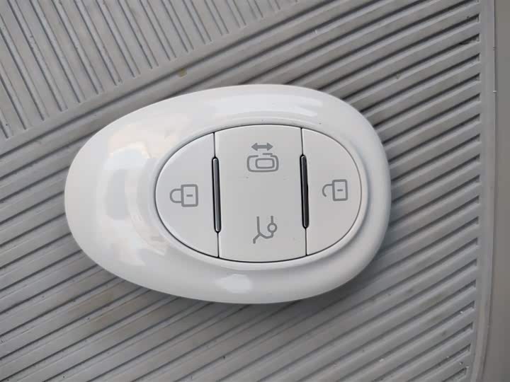 Фото 12 - BAIC Arcfox Kaola S