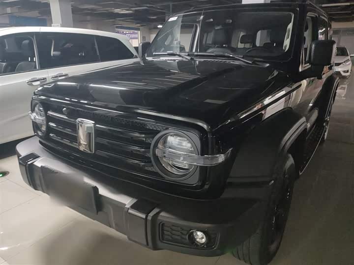 Фото 2 - Tank 300