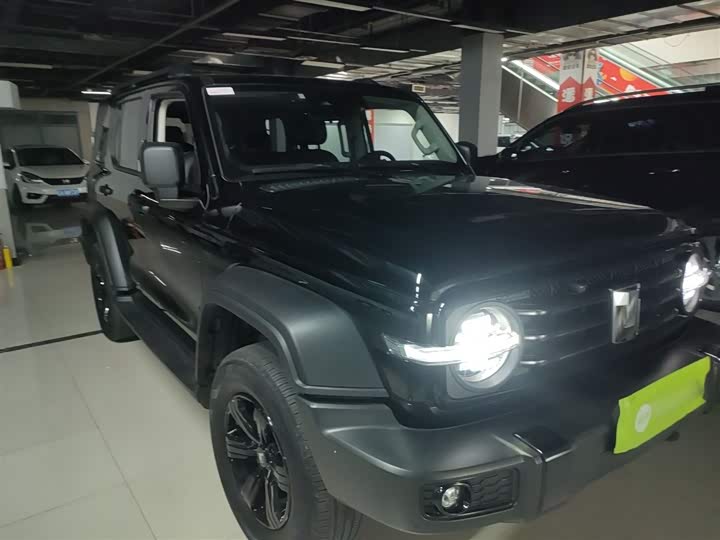 Фото 4 - Tank 300