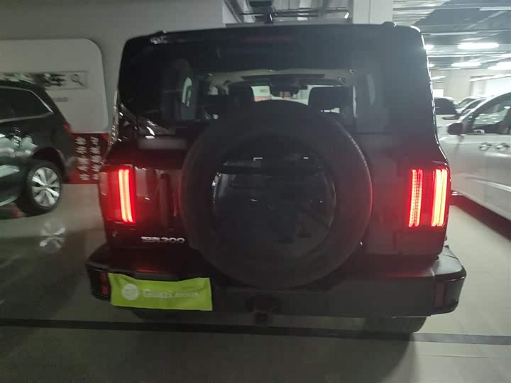 Фото 6 - Tank 300