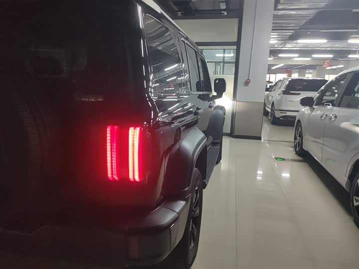 Фото 8 - Tank 300