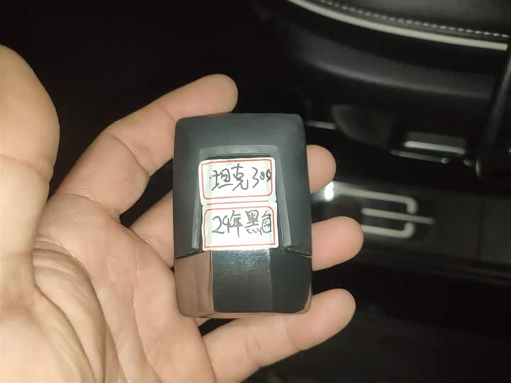 Фото 9 - Tank 300