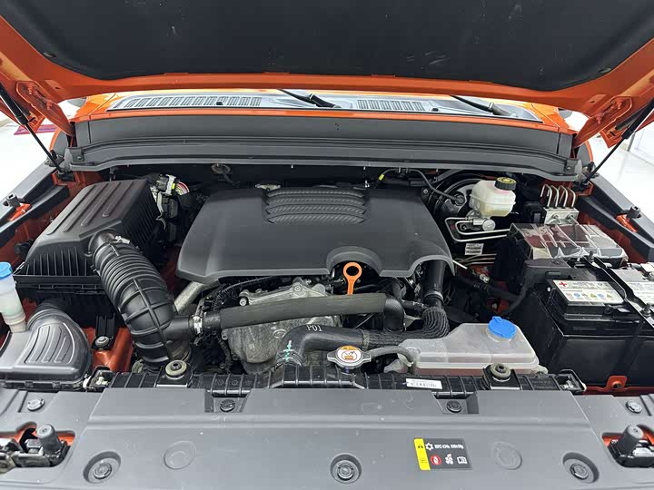 Фото 14 - Tank 300