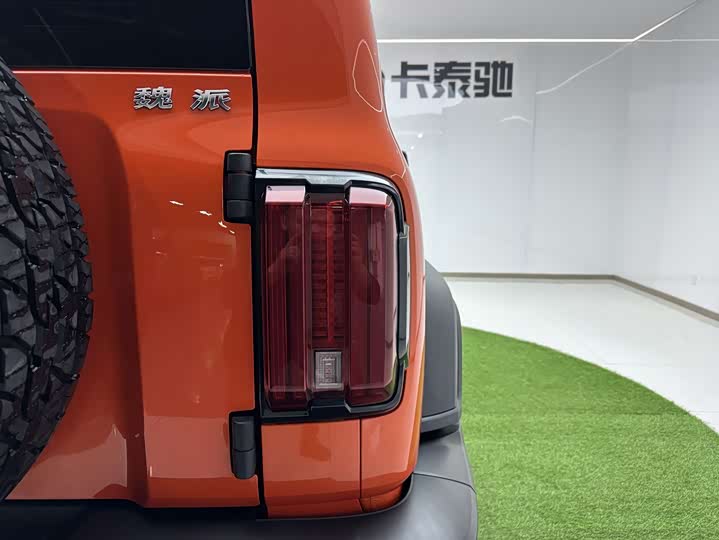 Фото 25 - Tank 300