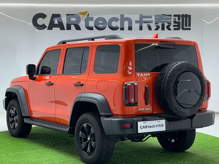 Фото 3 - Tank 300