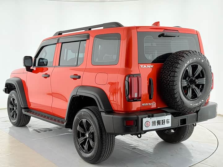 Фото 12 - Tank 300