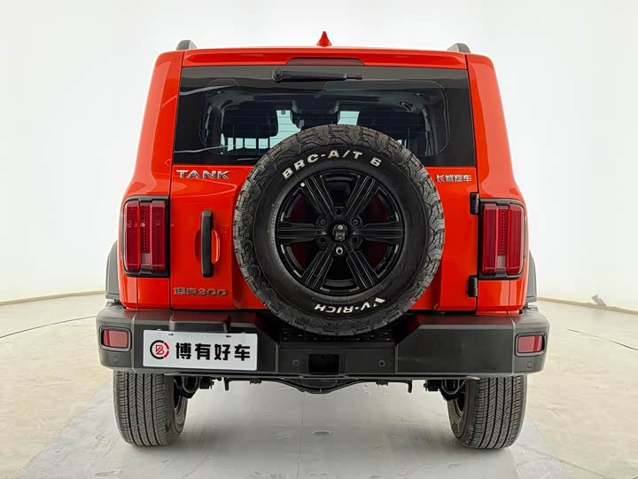 Фото 13 - Tank 300