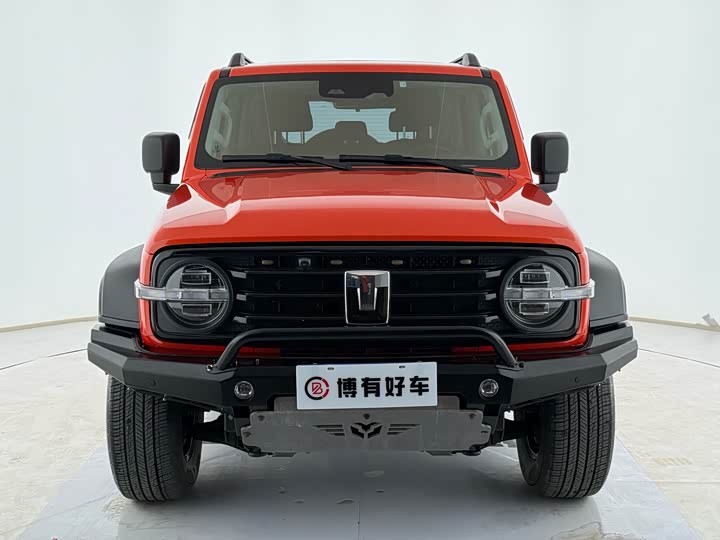 Фото 2 - Tank 300