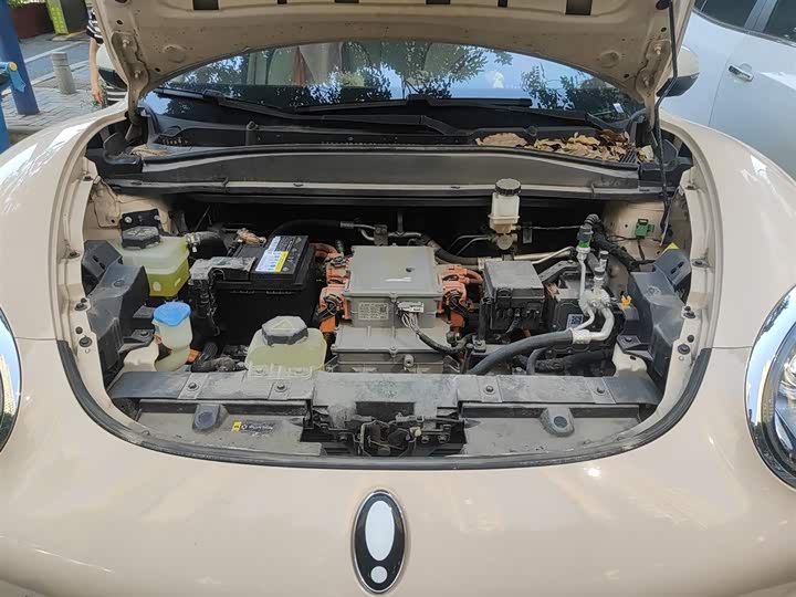 Фото 11 - Ora Good Cat (03)