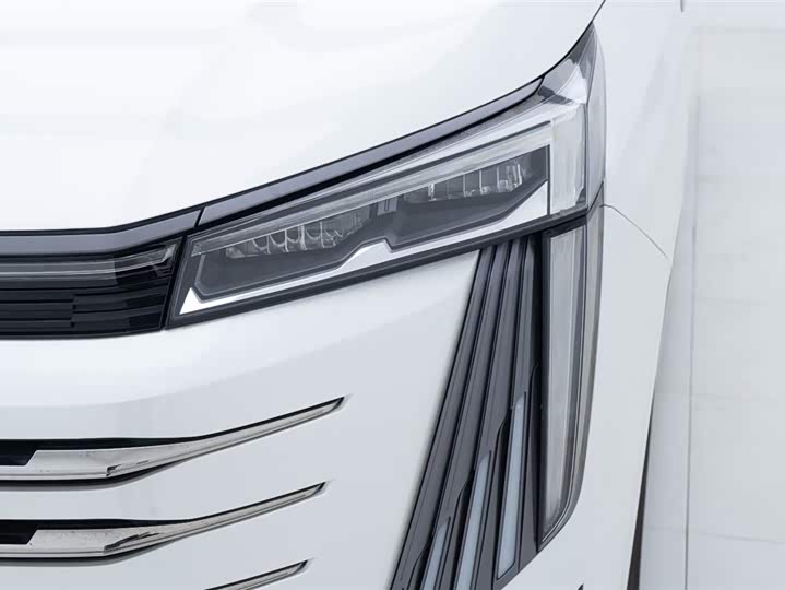 Фото 20 - GAC Trumpchi E9