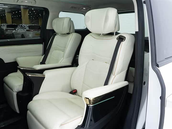 Фото 22 - GAC Trumpchi E9