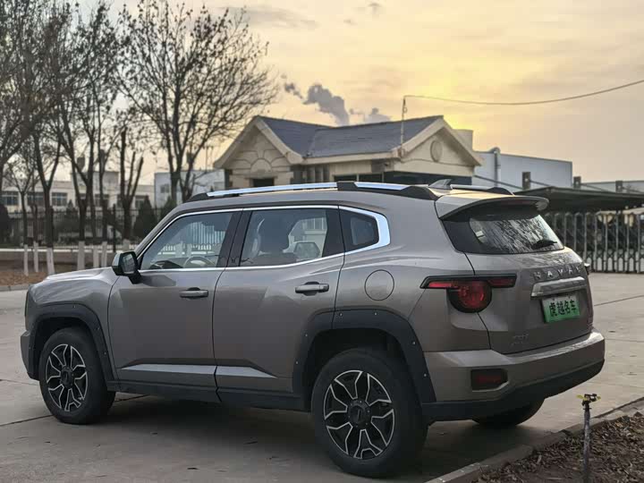 Фото 3 - Haval H-Dog