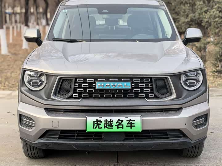 Фото 4 - Haval H-Dog