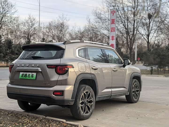Фото 6 - Haval H-Dog