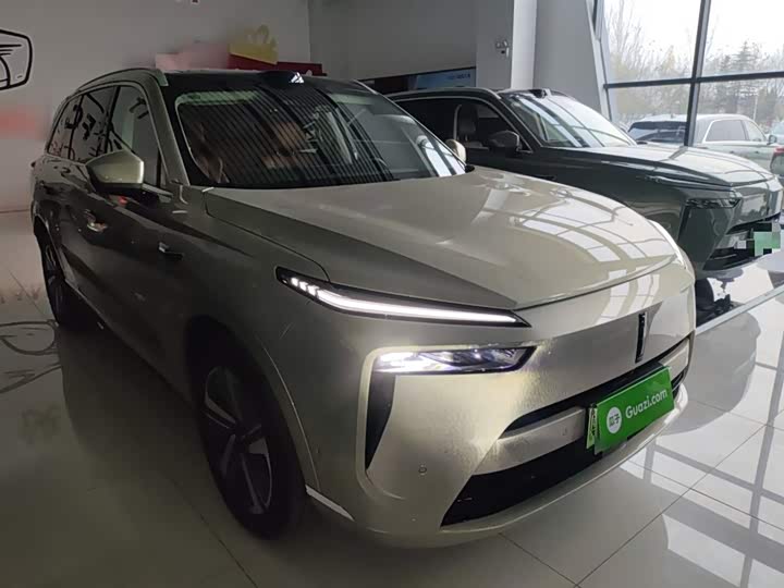 Фото 4 - Wey Lanshan