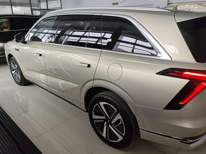 Фото 5 - Wey Lanshan