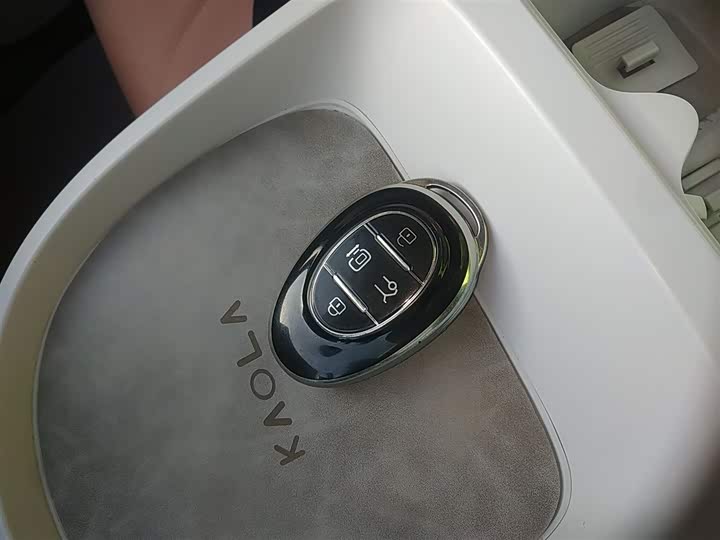 Фото 9 - BAIC Arcfox Kaola