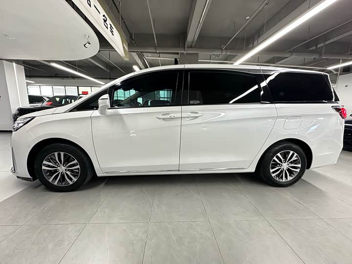 Фото 3 - Buick GL8 ES