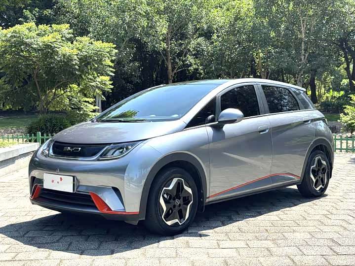 Фото 1 - BYD Dolphin