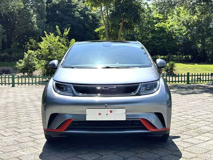 Фото 2 - BYD Dolphin