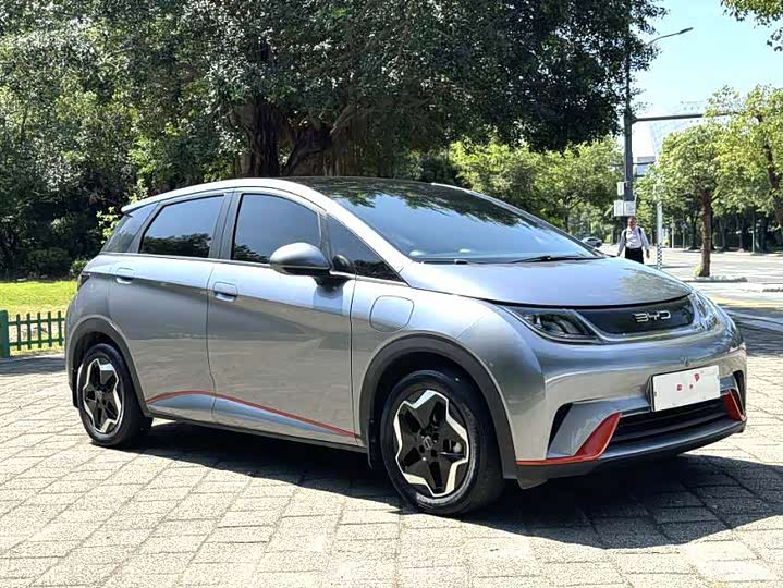 Фото 3 - BYD Dolphin