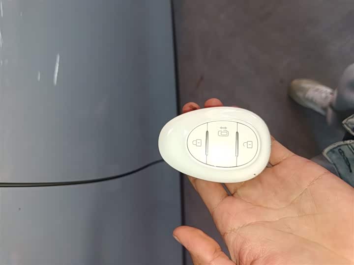 Фото 9 - BAIC Arcfox Kaola