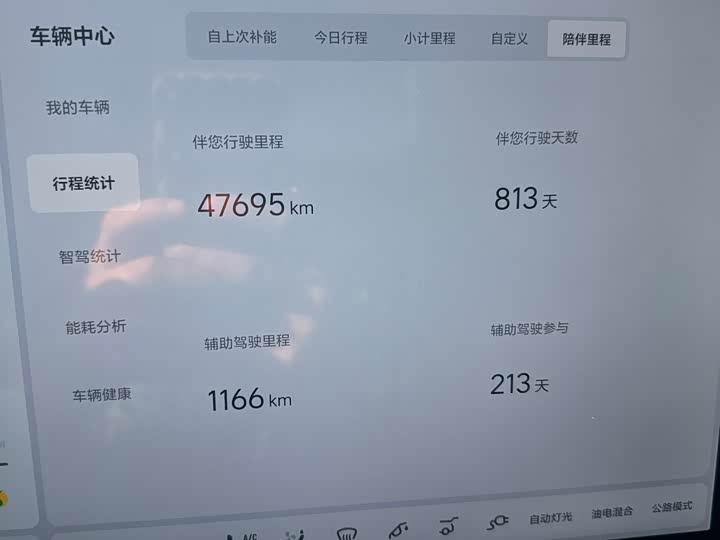 Фото 10 - LiXiang L7