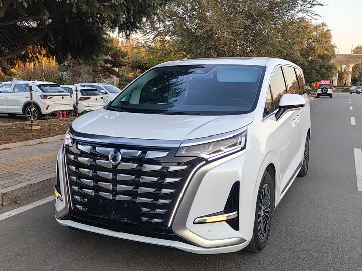 Фото 1 - Denza D9