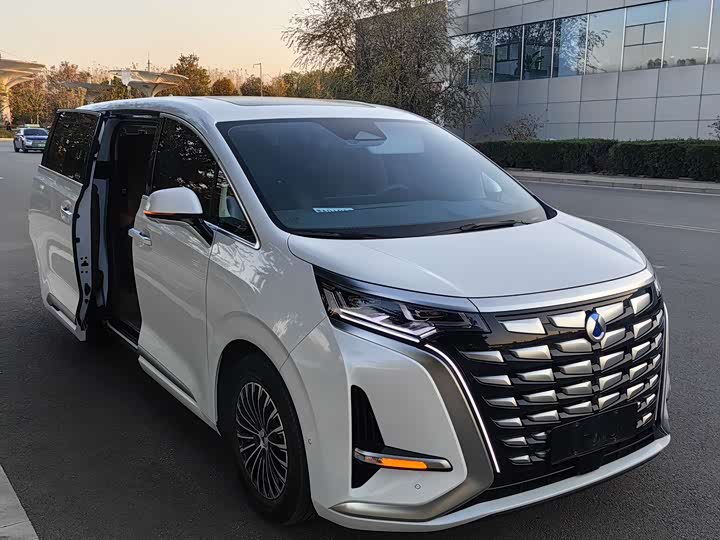 Фото 3 - Denza D9