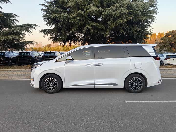 Фото 6 - Denza D9