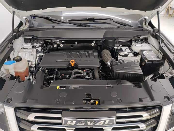 Фото 10 - Haval Dargo