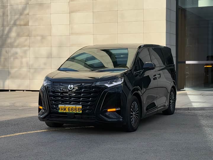 Фото 1 - Denza D9