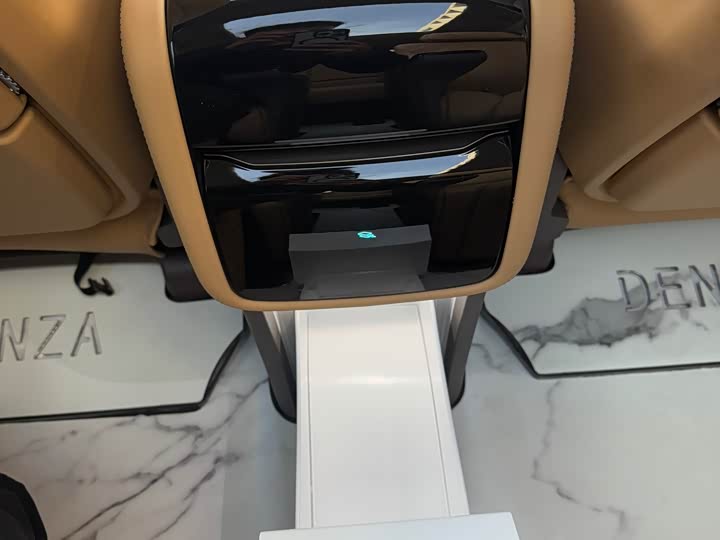 Фото 13 - Denza D9